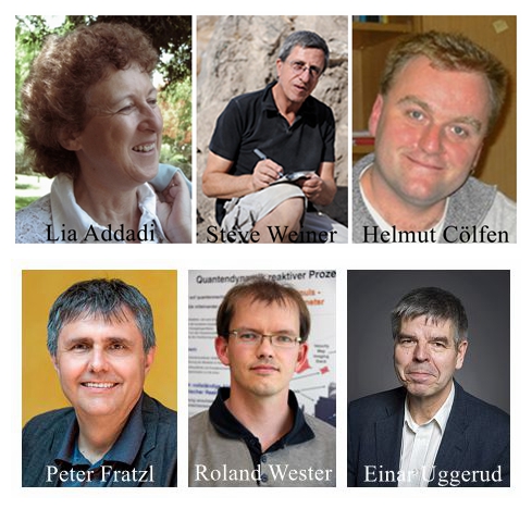 新澳门六合彩直播