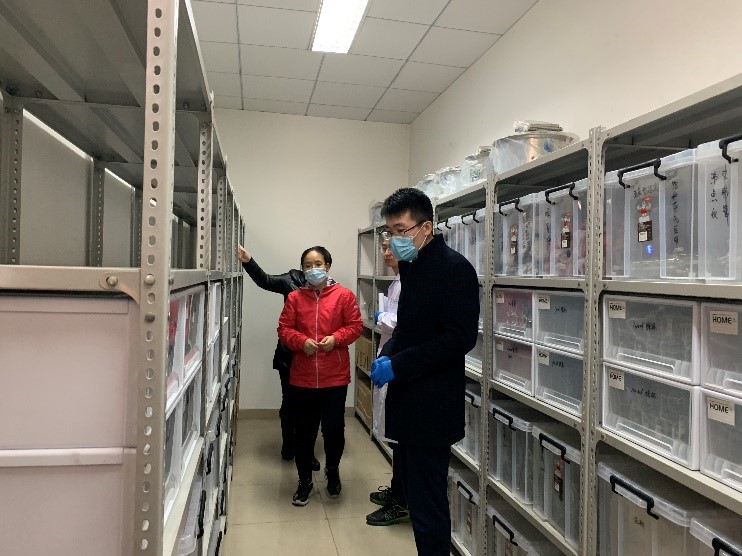 新澳门六合彩直播