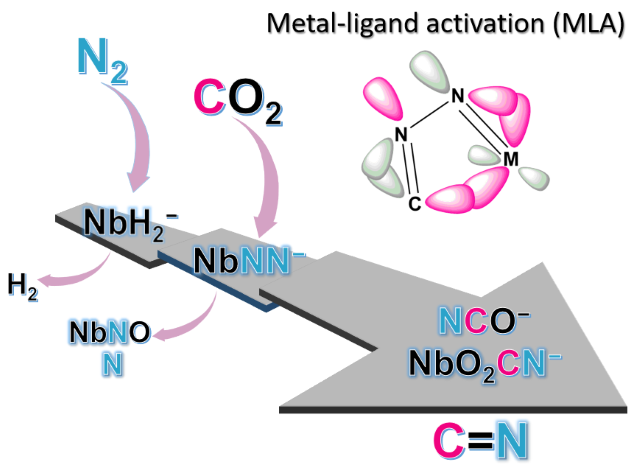 新澳门六合彩直播