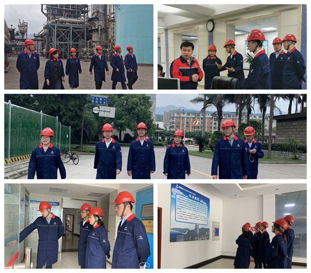 新澳门六合彩直播