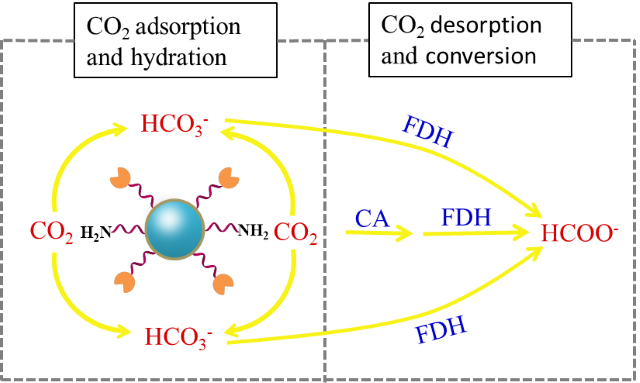 新澳门六合彩直播