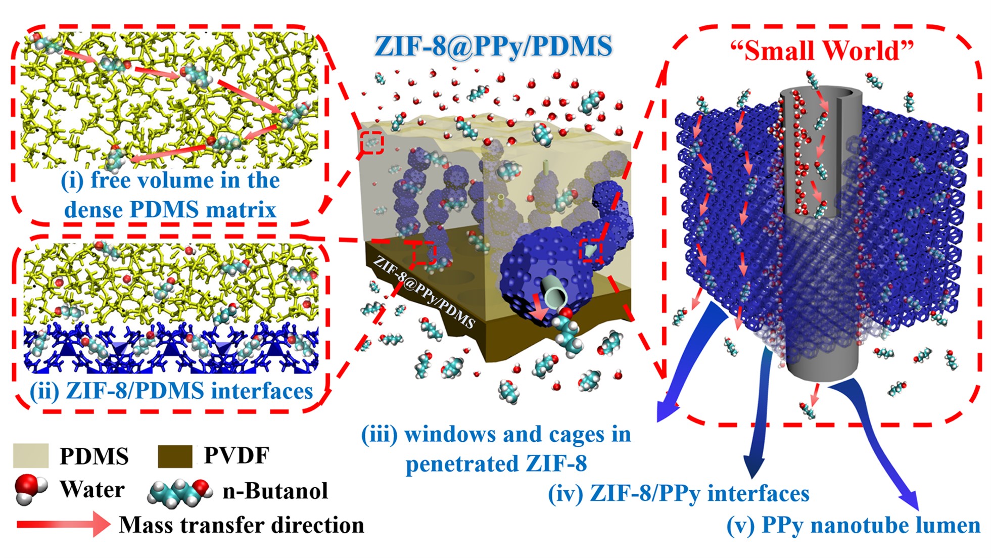 新澳门六合彩直播