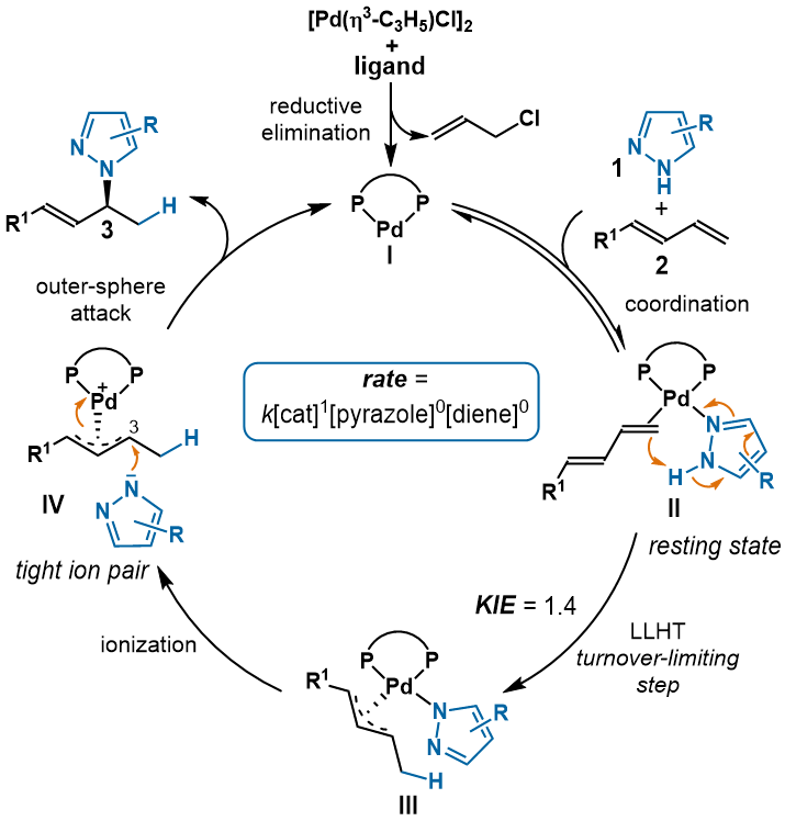 新澳门六合彩直播