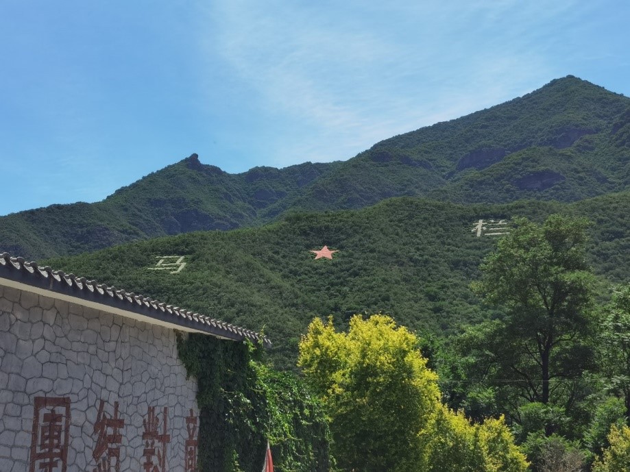 新澳门六合彩直播