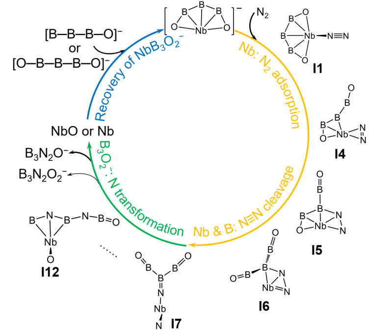新澳门六合彩直播