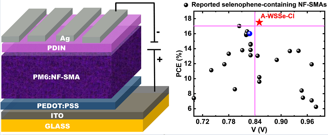 新澳门六合彩直播
