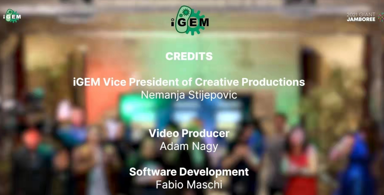 新澳门六合彩直播