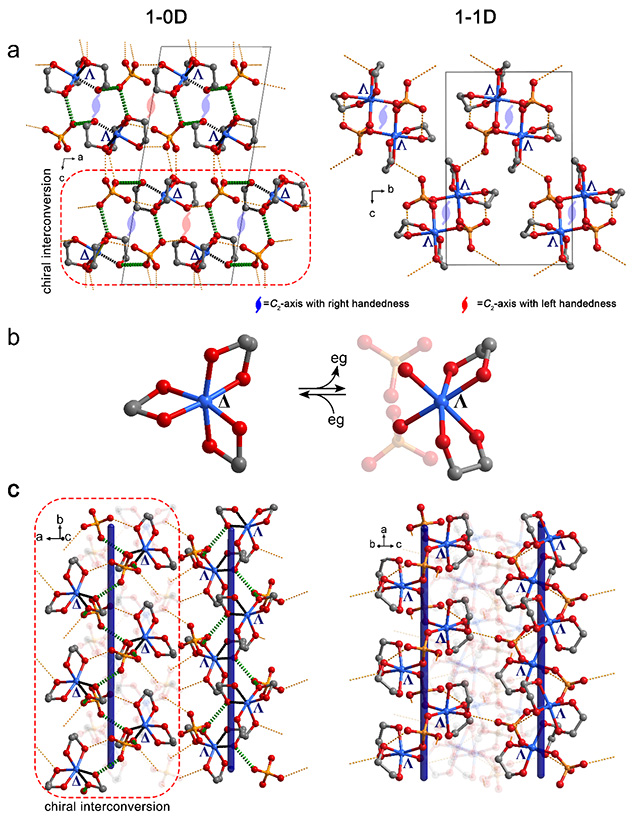 新澳门六合彩直播
