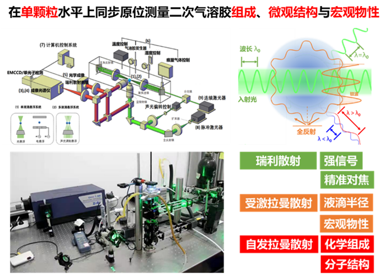 新澳门六合彩直播