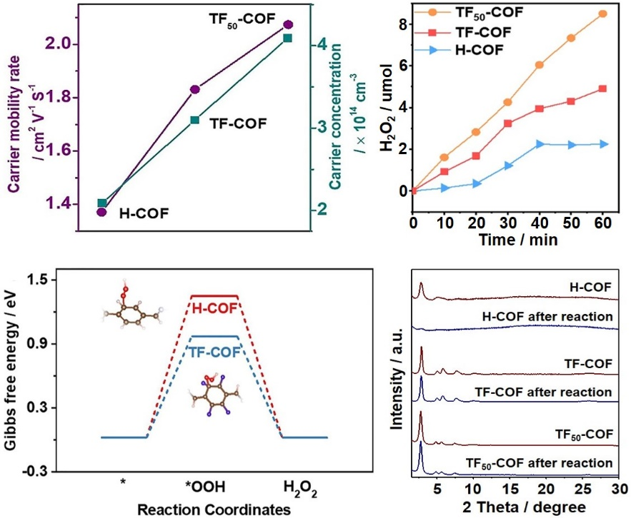 新澳门六合彩直播