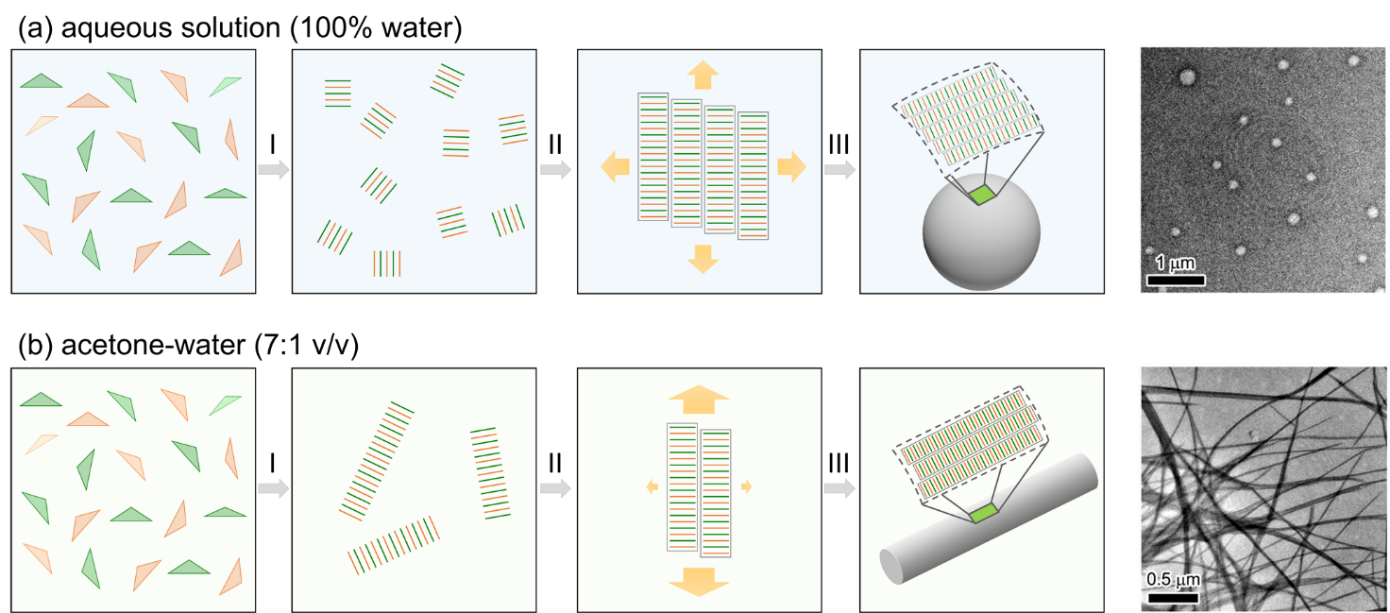 新澳门六合彩直播