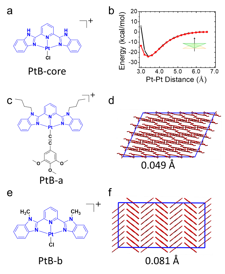 新澳门六合彩直播