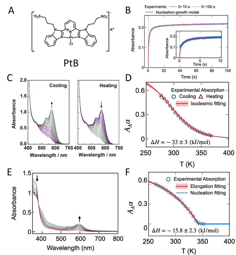 新澳门六合彩直播