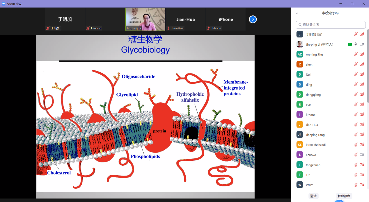 新澳门六合彩直播