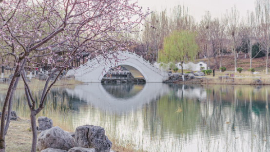 新澳门六合彩直播