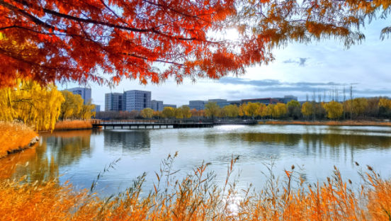 新澳门六合彩直播