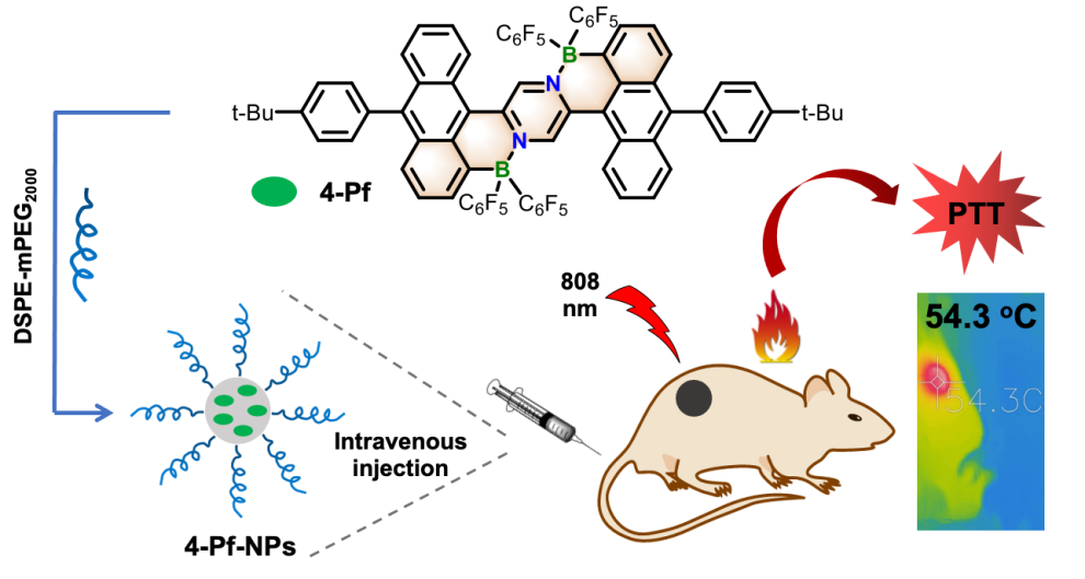 新澳门六合彩直播