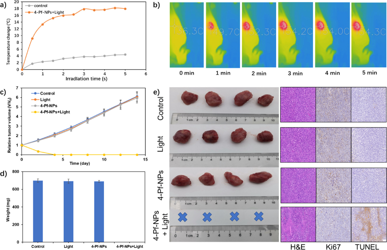 新澳门六合彩直播