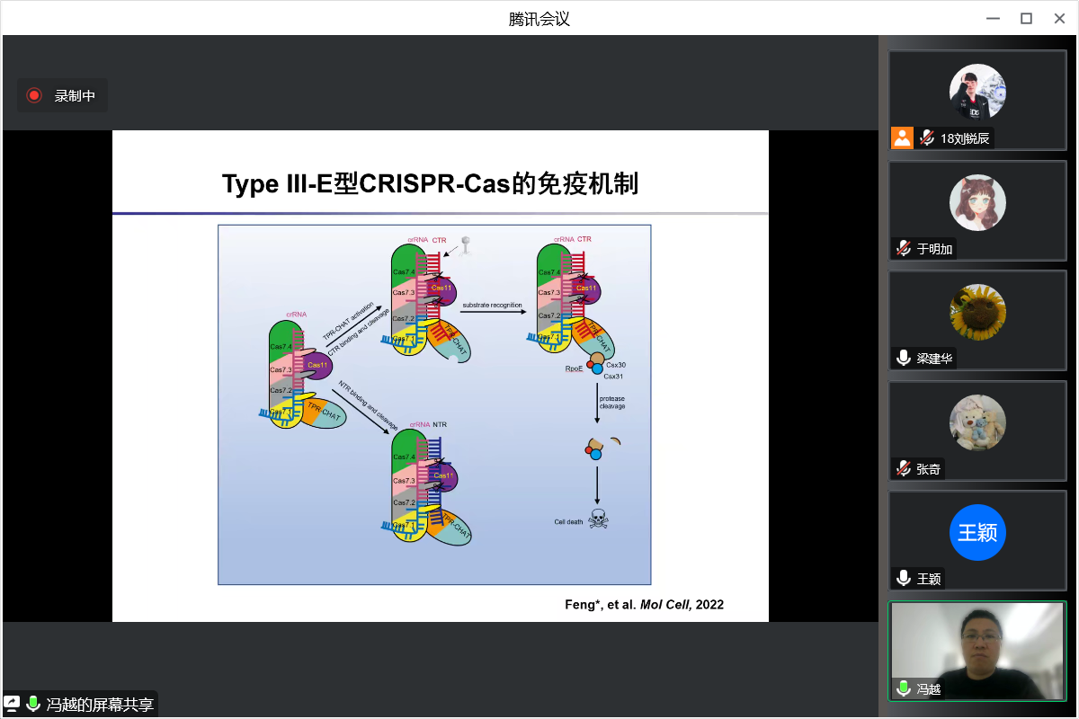 新澳门六合彩直播