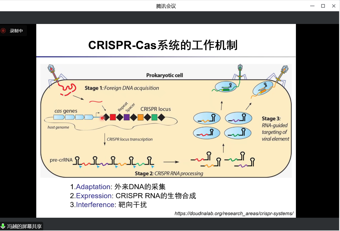 新澳门六合彩直播