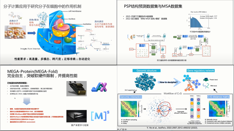 新澳门六合彩直播