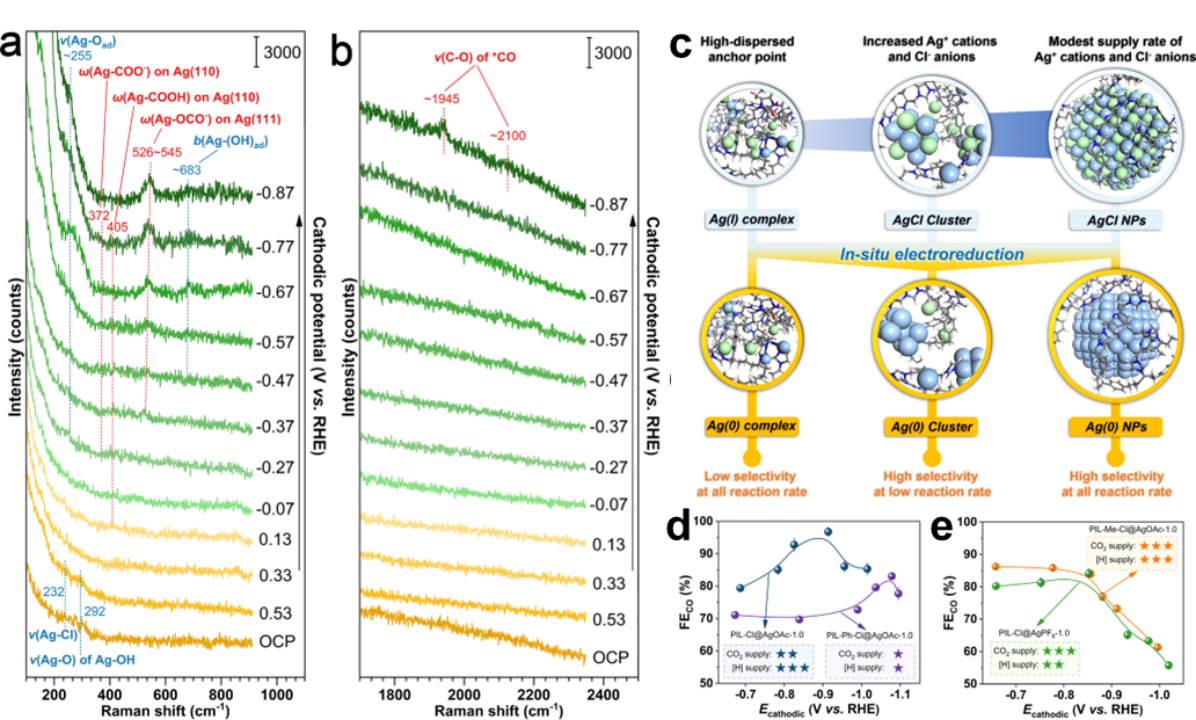 新澳门六合彩直播