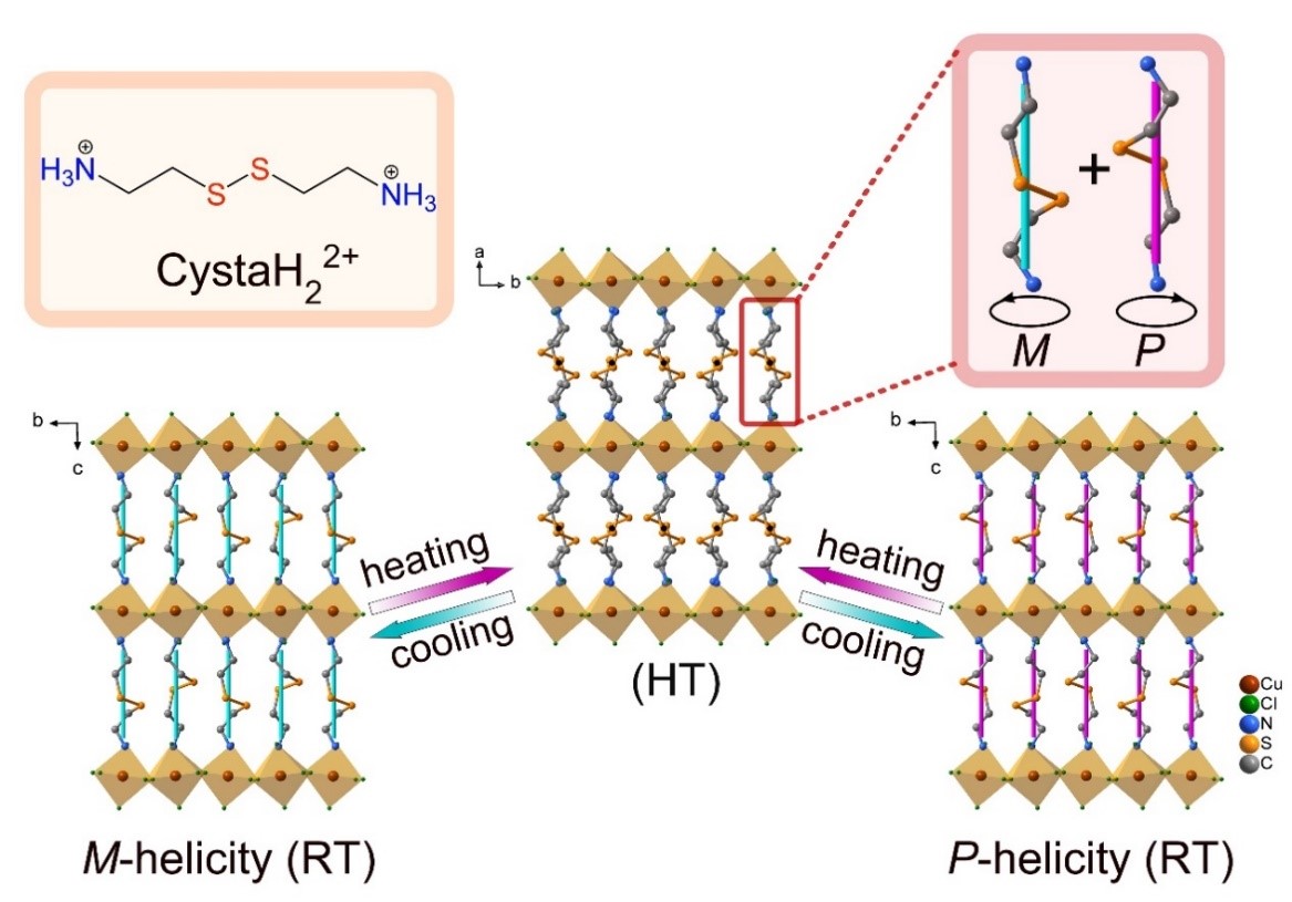 新澳门六合彩直播