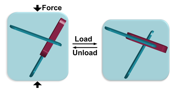 新澳门六合彩直播