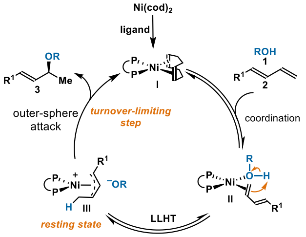 新澳门六合彩直播