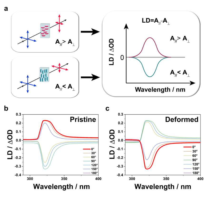 新澳门六合彩直播