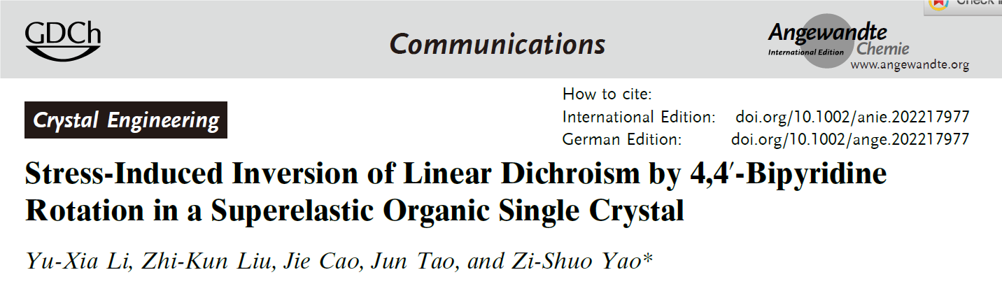 新澳门六合彩直播