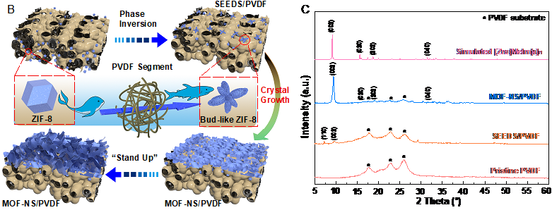 新澳门六合彩直播