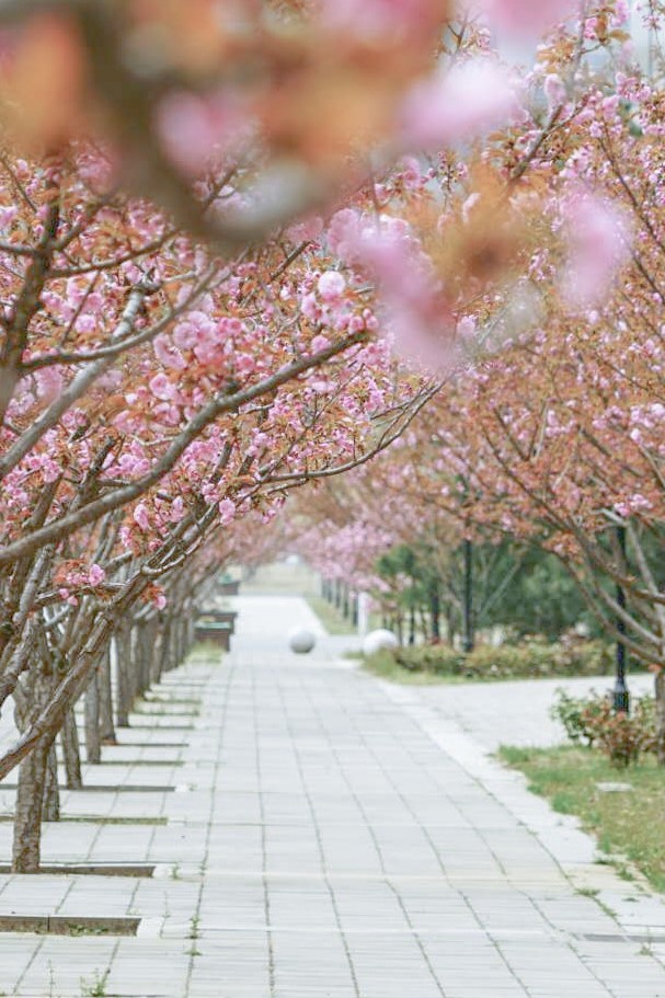 新澳门六合彩直播