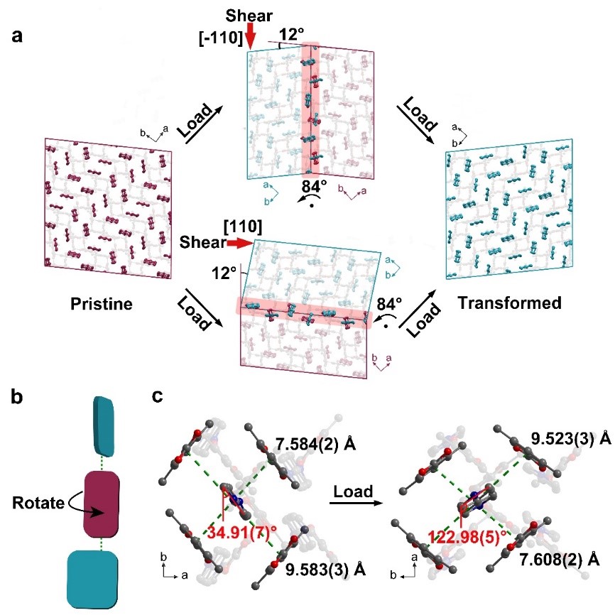新澳门六合彩直播