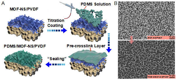 新澳门六合彩直播