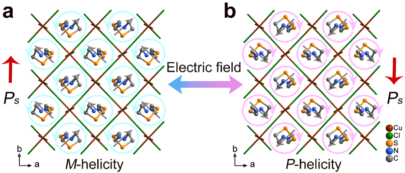 新澳门六合彩直播