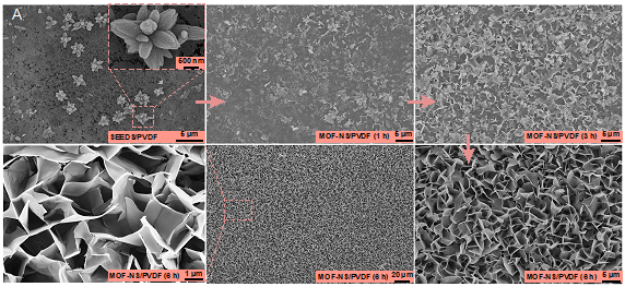 新澳门六合彩直播