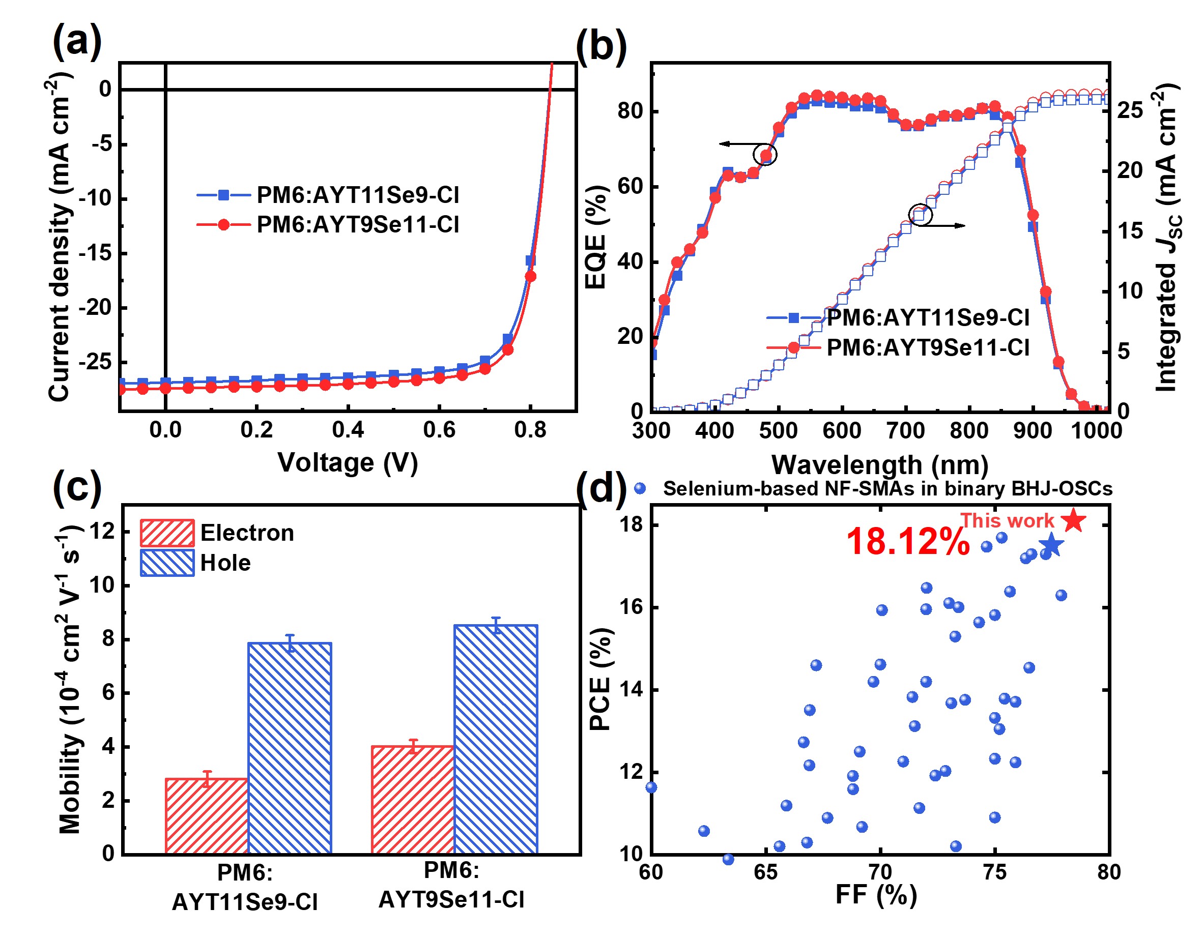 新澳门六合彩直播