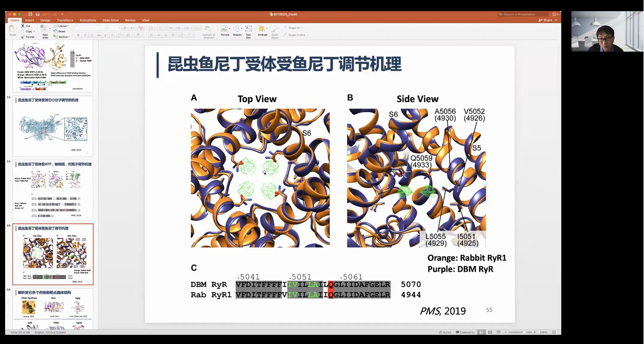 新澳门六合彩直播