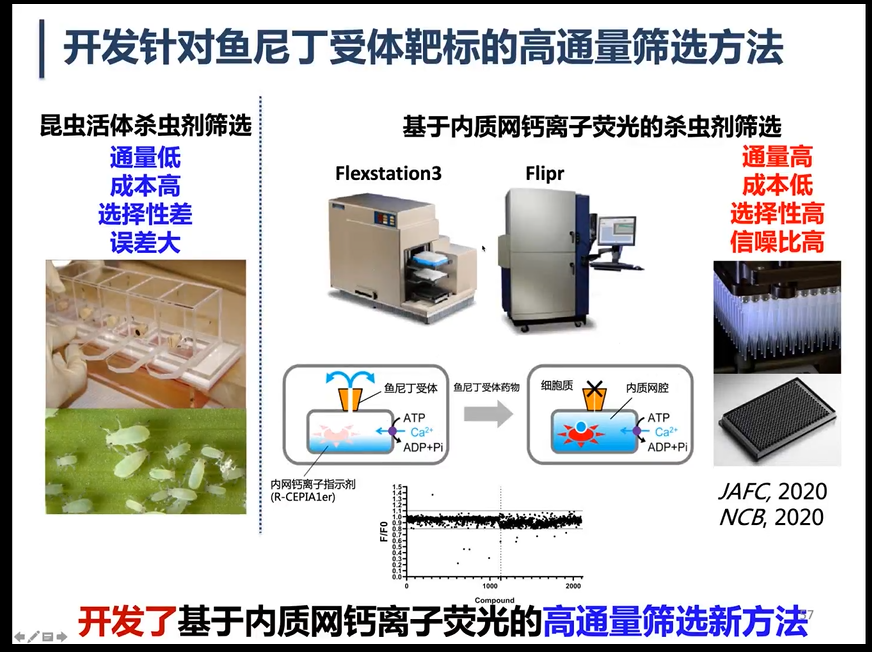 新澳门六合彩直播