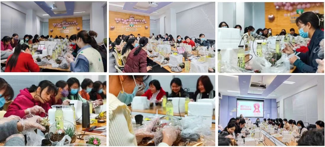 新澳门六合彩直播