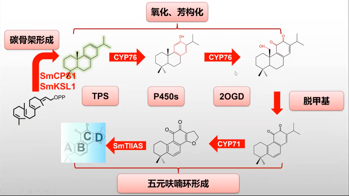 新澳门六合彩直播