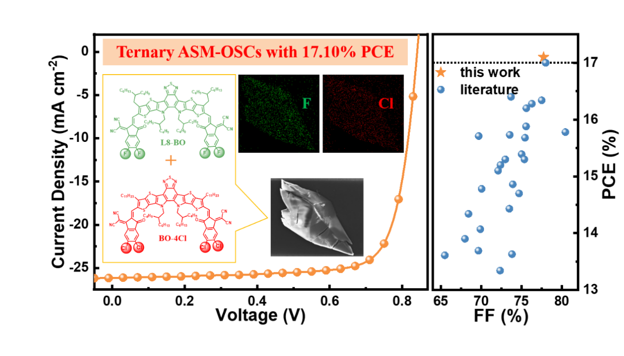 新澳门六合彩直播