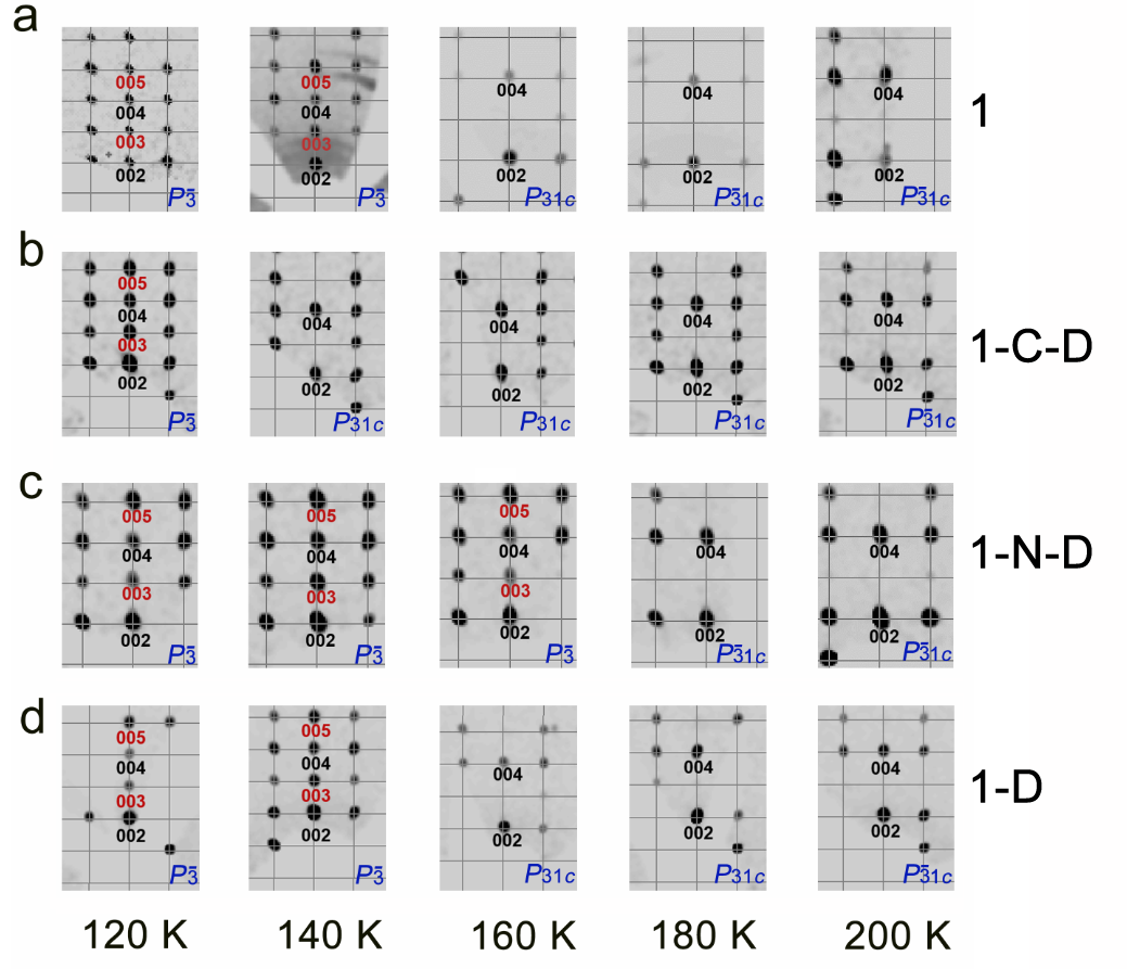 新澳门六合彩直播