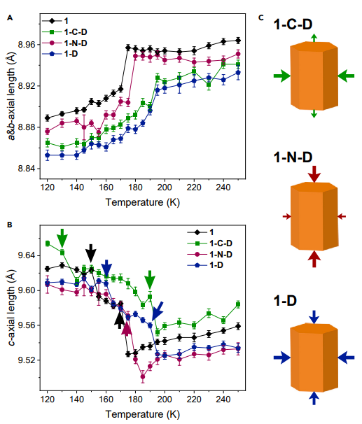 新澳门六合彩直播
