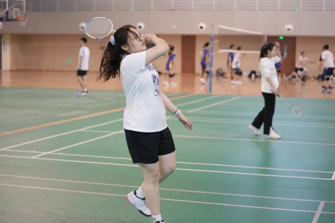 新澳门六合彩直播