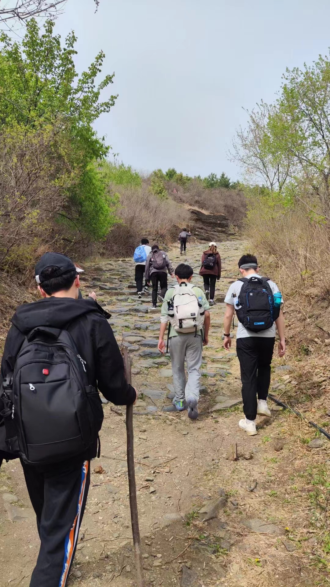 新澳门六合彩直播