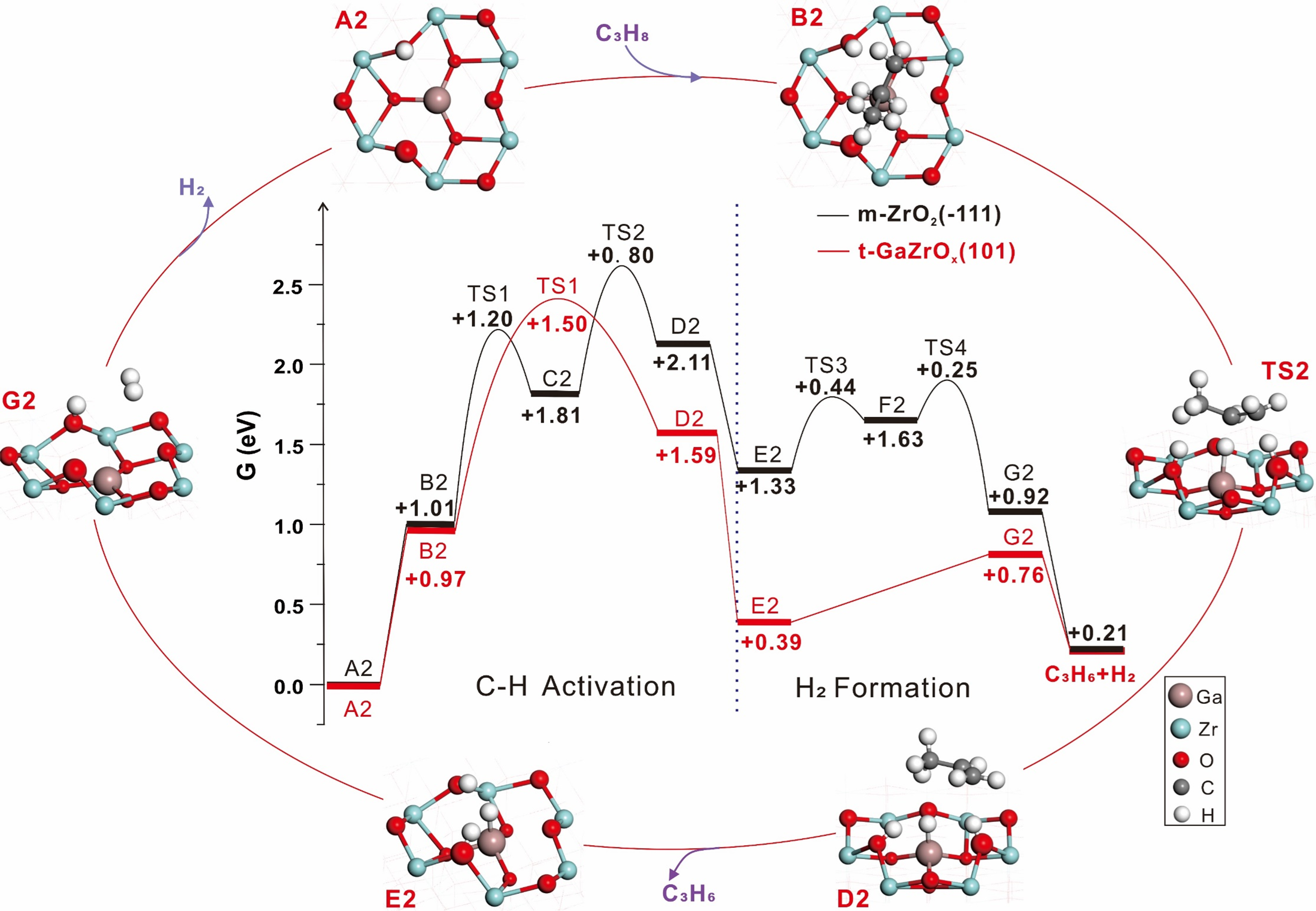新澳门六合彩直播