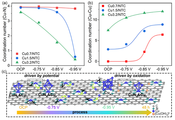 新澳门六合彩直播