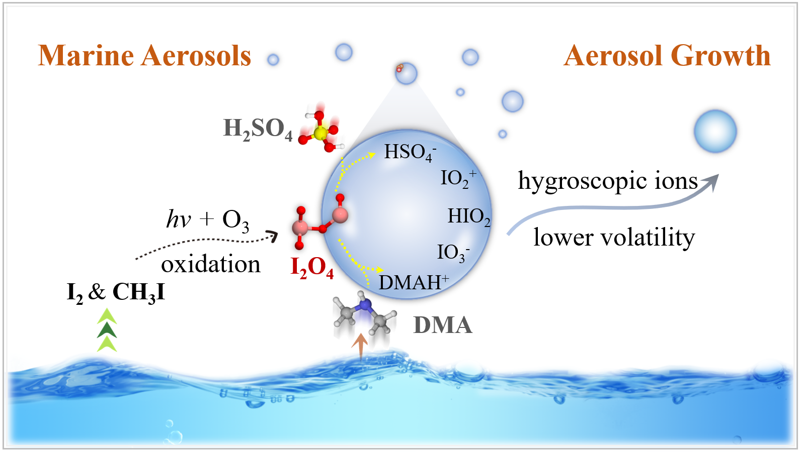新澳门六合彩直播